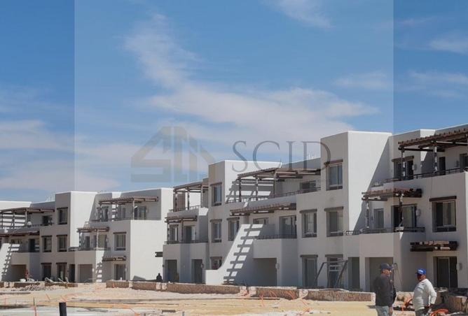 67997371 - Property Image 3