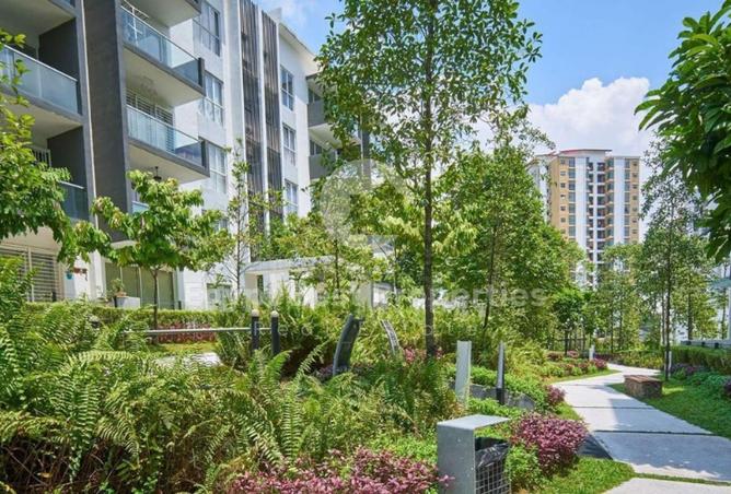 8486946 - Property Image 2