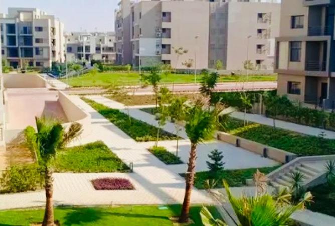 53986861 - Property Image 2