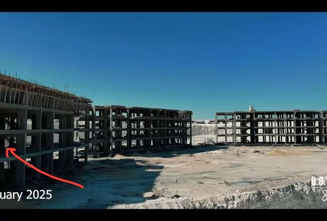 63146855 - Property Image 2