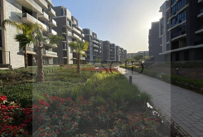 56244058 - صورة العقار 2