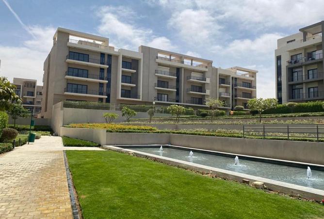 62893942 - Property Image 3