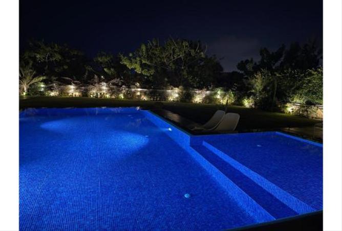 66702035 - صورة العقار 3