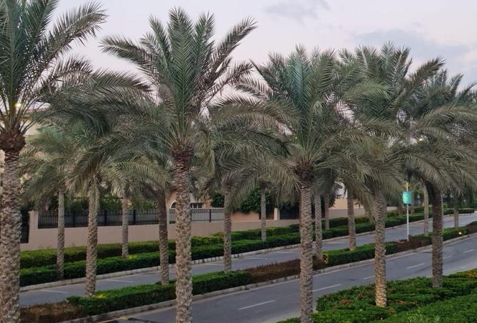 66967591 - الصورة الرئيسية للعقار