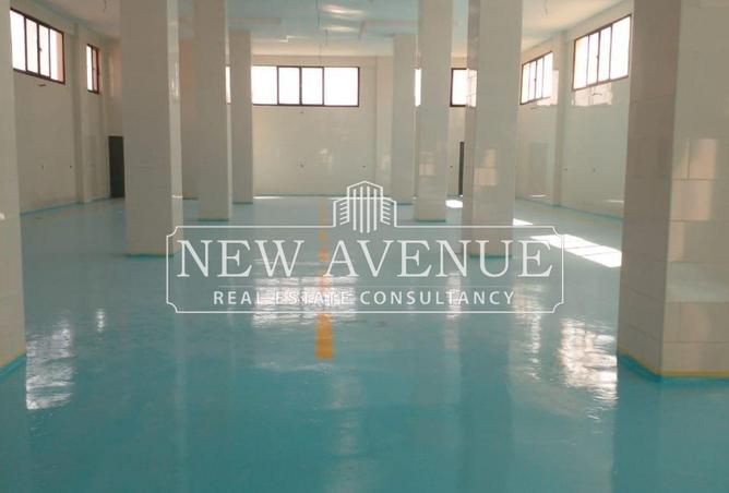 61687512 - صورة العقار 3