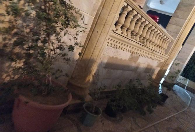 107131603 - صورة العقار 3