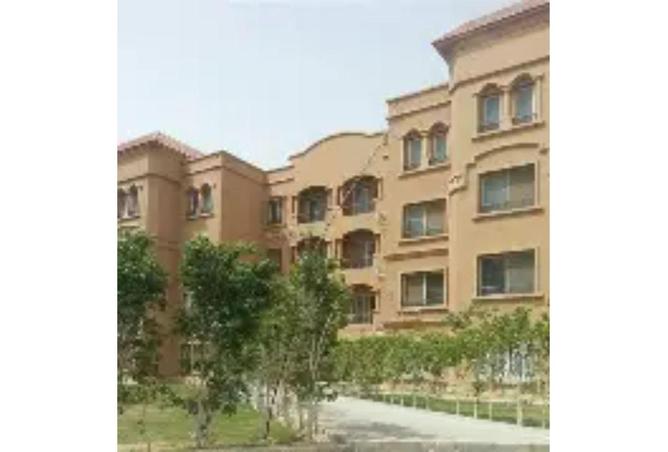 54240689 - Property Image 3