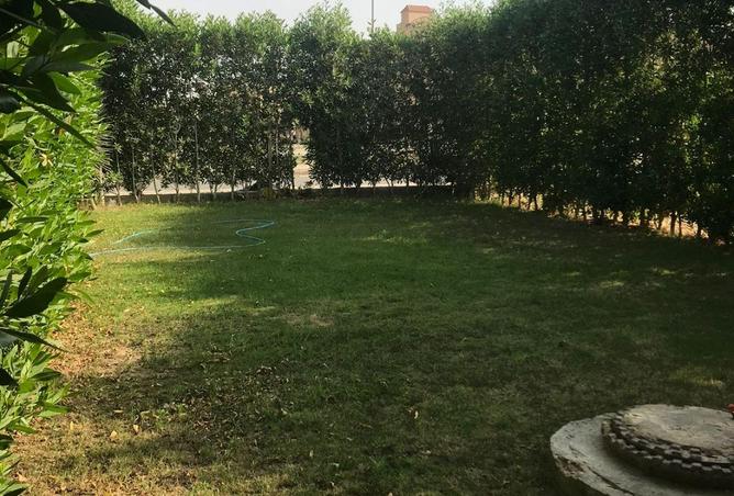 65112758 - صورة العقار 2