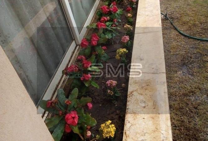 53469608 - Property Image 2