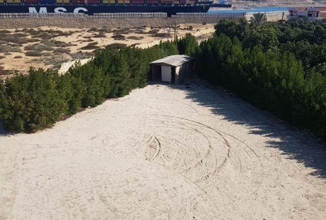 58736819 - صورة العقار 2