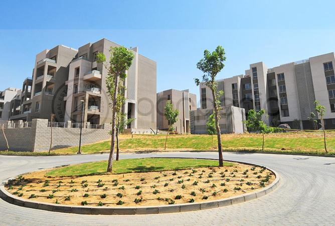 67738284 - Property Image 2