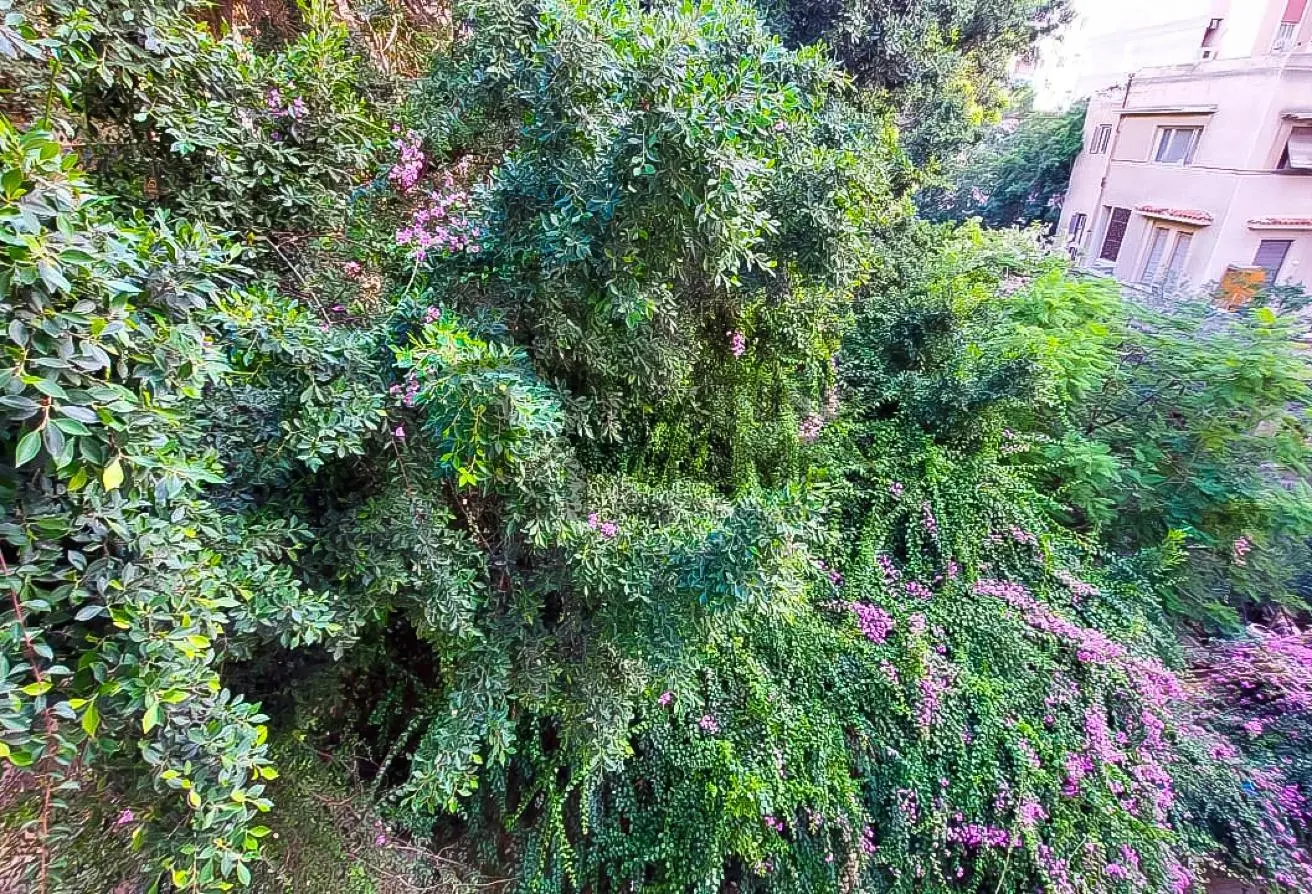119068661 - الصورة الرئيسية للعقار