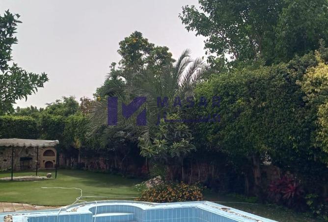 8504000 - صورة العقار 3