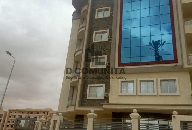 65155383 - Property Image 3