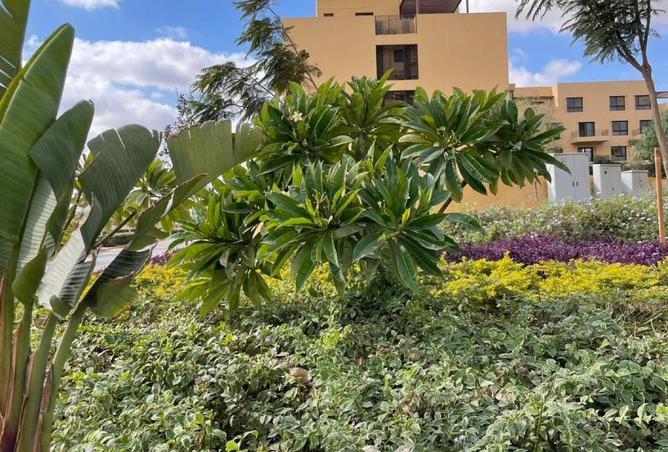 78665436 - صورة العقار 3