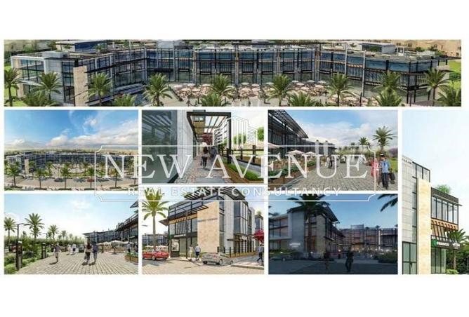 52709612 - Property Image 2