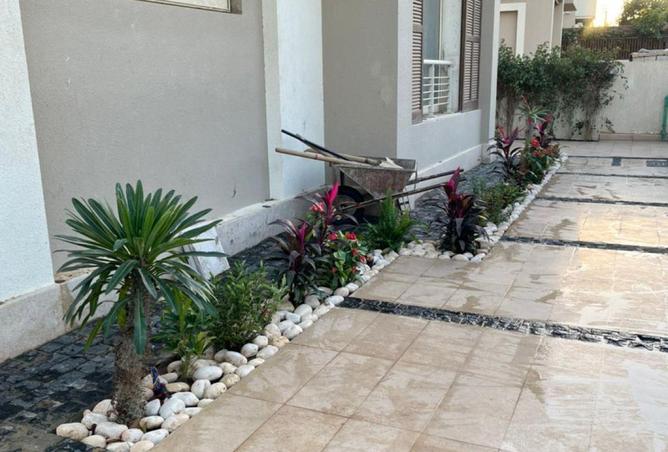 59249359 - Property Image 3