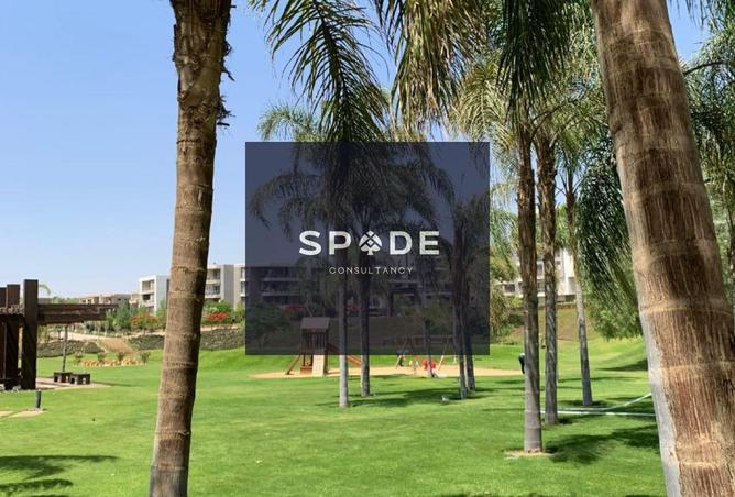 8599388 - Property Image 3