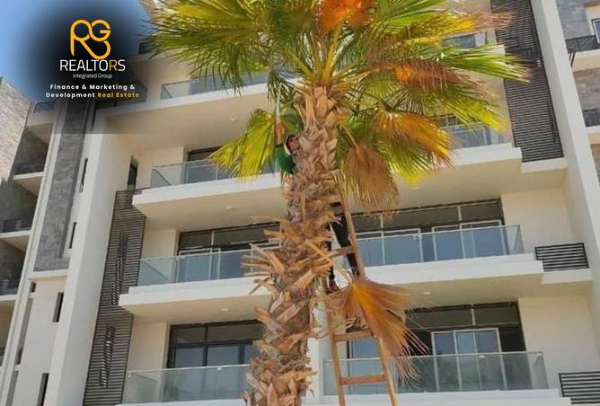96861416 - Property Image 2