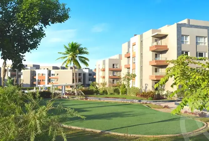 111581502 - Property Image 3