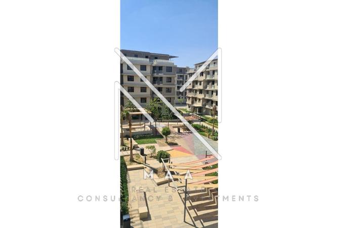 77046916 - Property Image 3