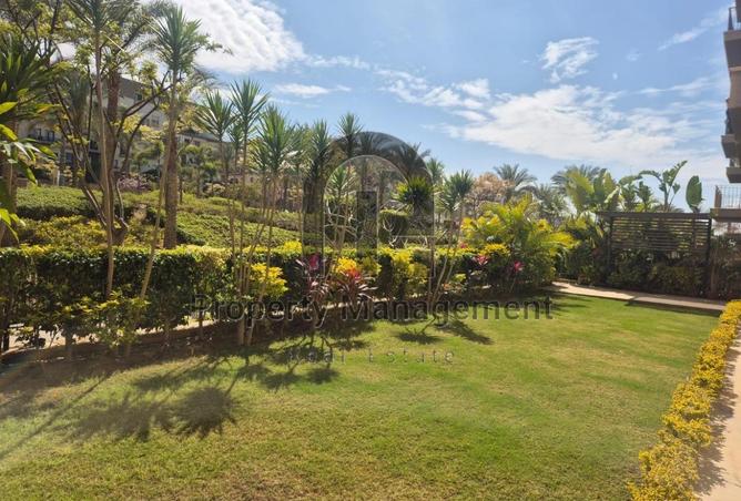 61927530 - صورة العقار 2