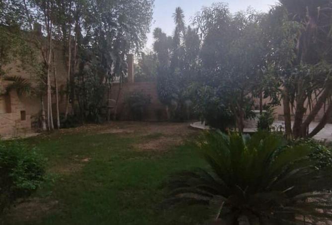 87932387 - صورة العقار 3
