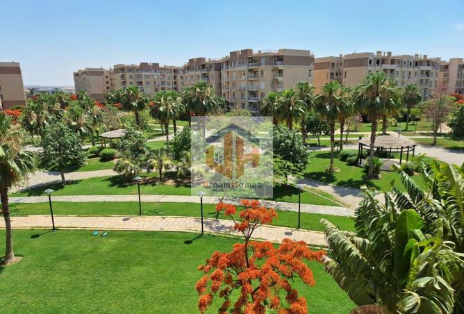 81844165 - الصورة الرئيسية للعقار