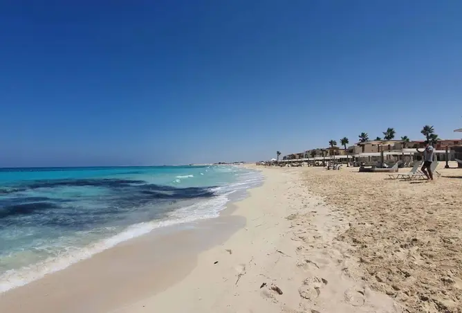 114627562 - صورة العقار 2