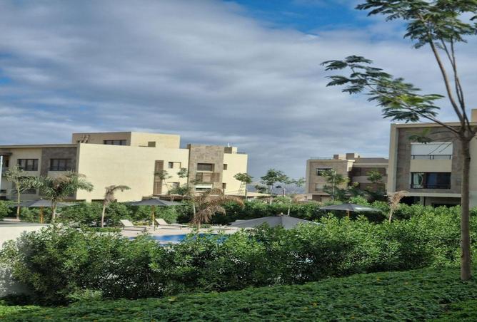 84515243 - Property Image 3