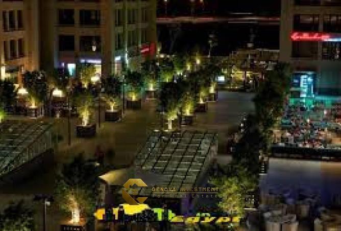 70105828 - صورة العقار 3