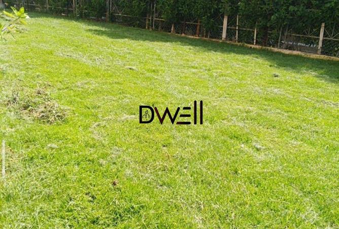 8695931 - Property Image 3