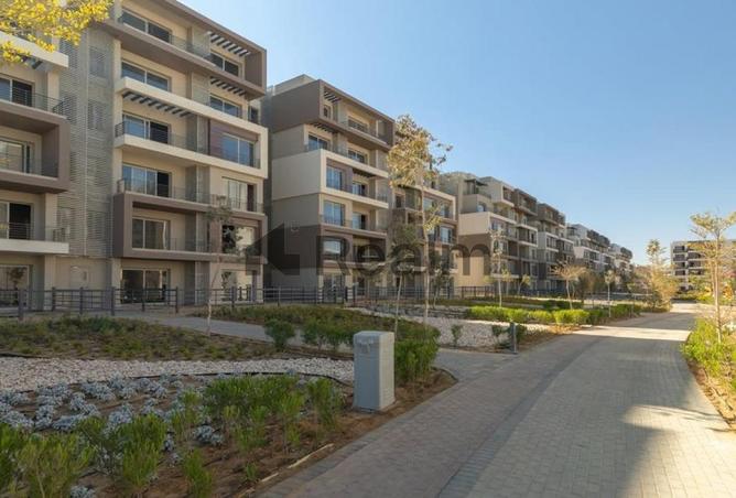 55253790 - Property Main Image