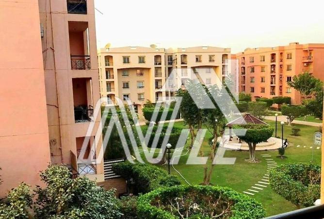 66429869 - Property Image 3