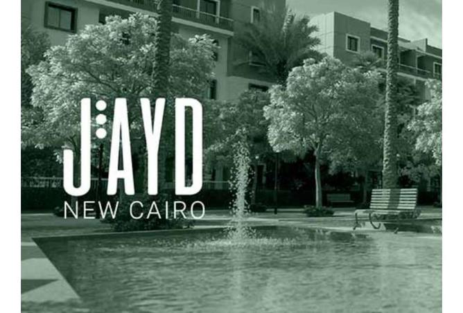 57251764 - Property Image 3