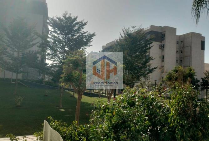 8596612 - Property Image 2