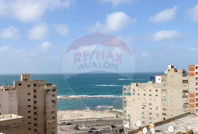 118543290 - صورة العقار 2