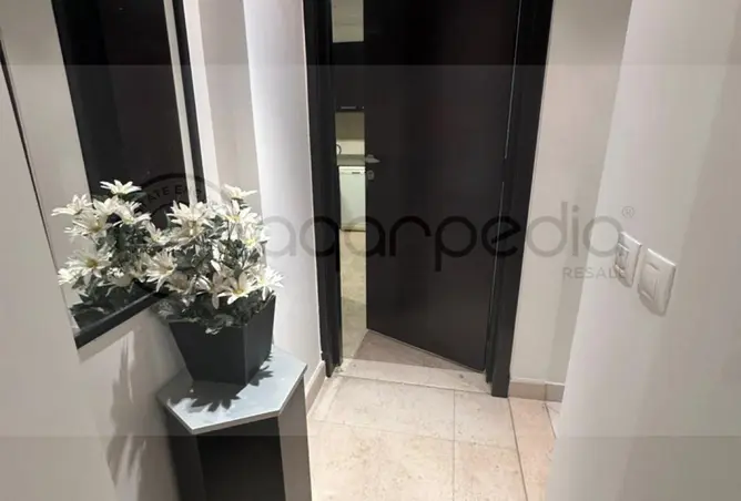 117277966 - Property Image 3