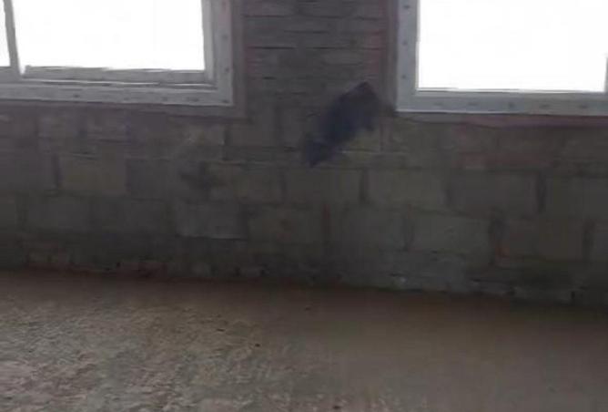 8643671 - Property Image 3