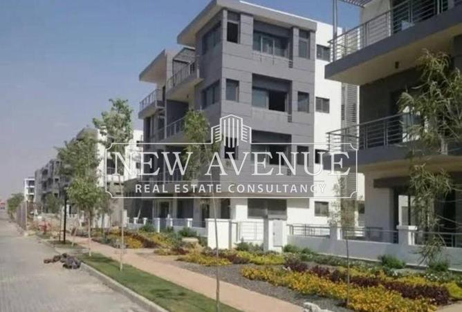 66426514 - Property Image 3