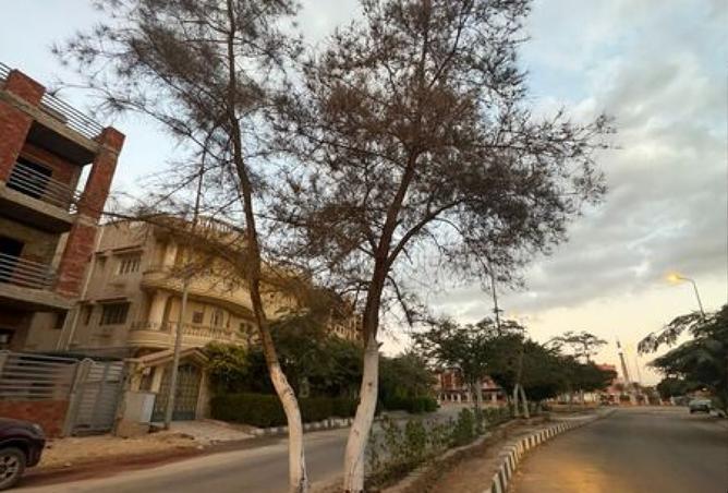 8400584 - صورة العقار 3