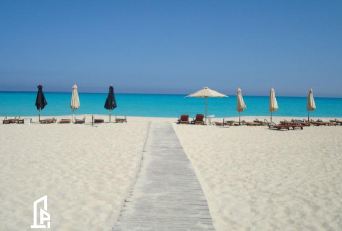 8361681 - صورة العقار 2