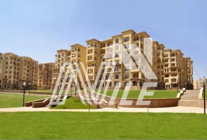 101784675 - صورة العقار 3