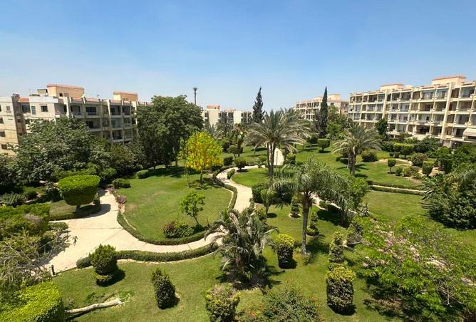 91005095 - الصورة الرئيسية للعقار