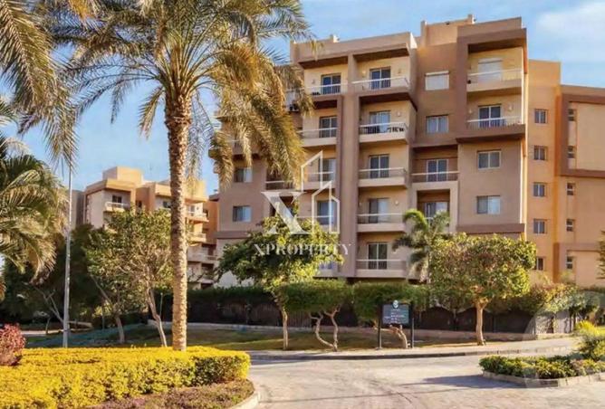 8607481 - Property Image 3