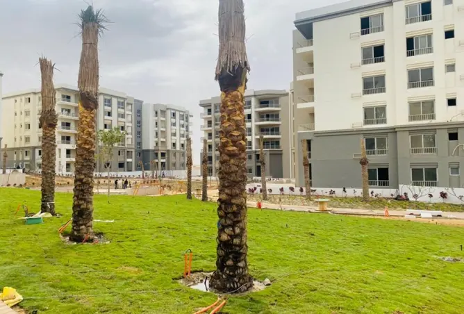 121137053 - Property Image 2
