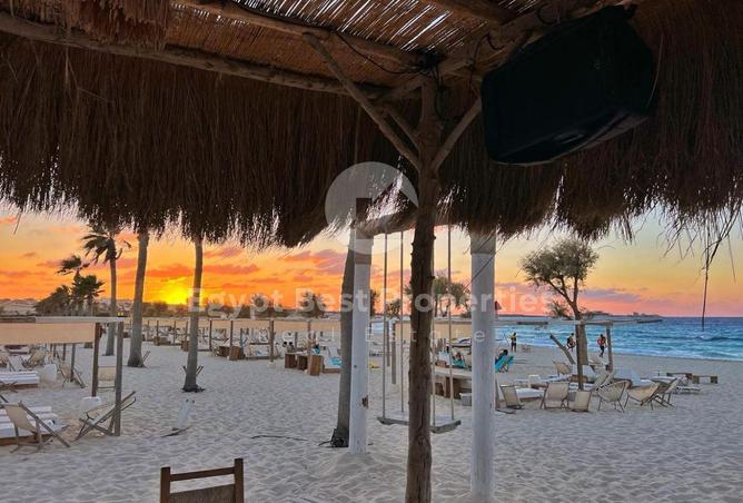 8592594 - Property Image 2