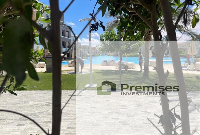 97148614 - Property Image 2
