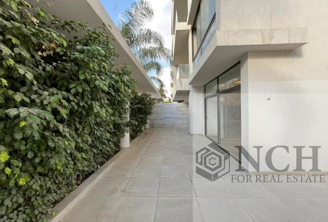 75685899 - Property Image 2