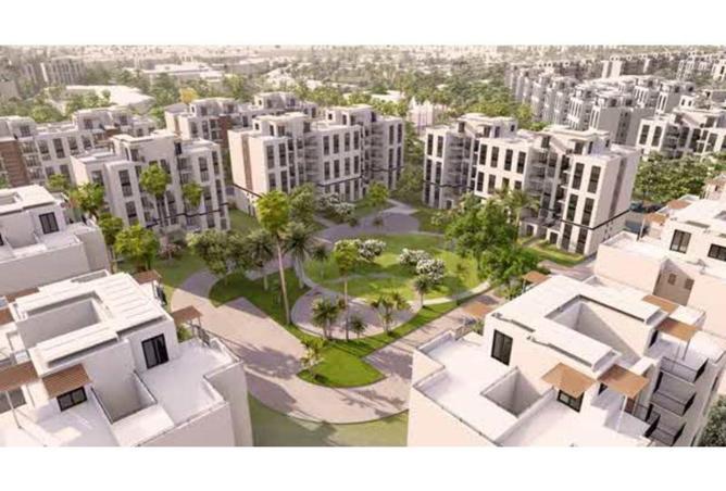 8372234 - Property Image 3